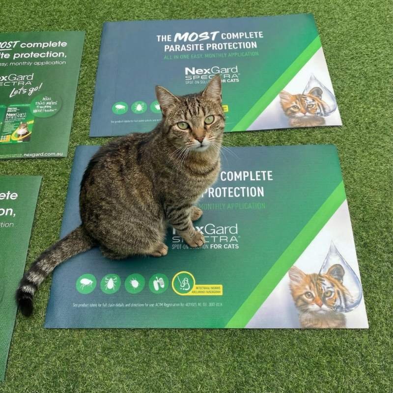 Pure Rubber Logo Mat